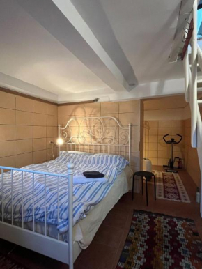 Roza's Istanbul Homestay
